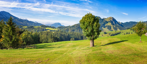 全景图像的山区牧场在阿尔高阿尔卑斯山在泽尔霍夫附近的Unterjoch，巴伐利亚，德国图片下载
