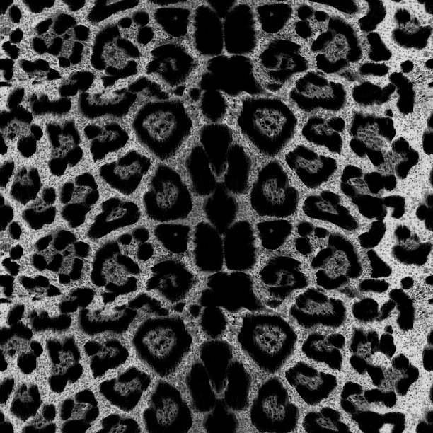 豹皮纹理无缝图案图片下载