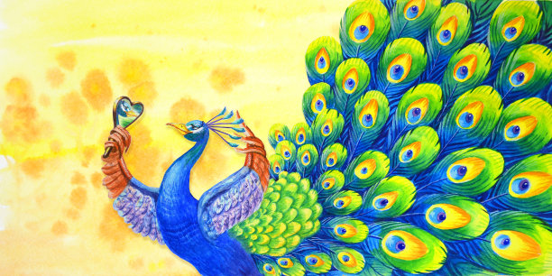 一只美丽的孔雀在镜子前欣赏自己。图片下载