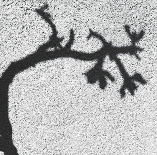 白墙上现出沙漠的剪影图片下载