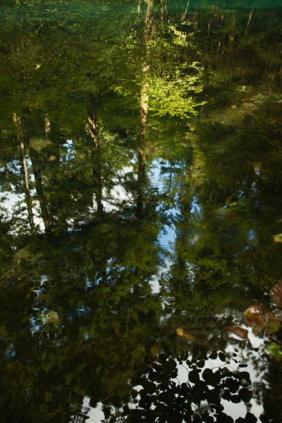 泉水在春天，水面反射图片下载