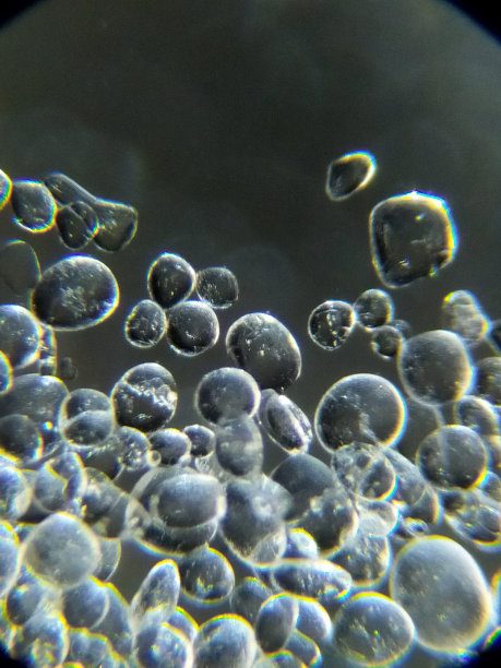 沙子在显微镜下图片下载