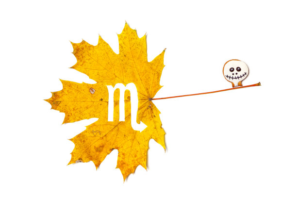十二宫星座天蝎座雕刻成楔形片图片下载