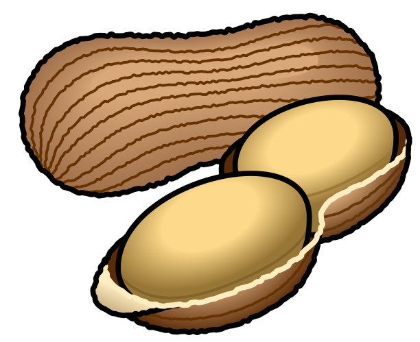 花生/坚果图片下载