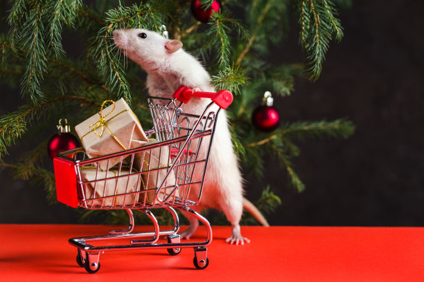 2020年新年快乐。圣诞作文用一只真正的老鼠，一年的象征。购物结束后，一只老鼠站在一棵挂满玩具的圣诞树旁，推着一个装满礼物的手推车图片下载