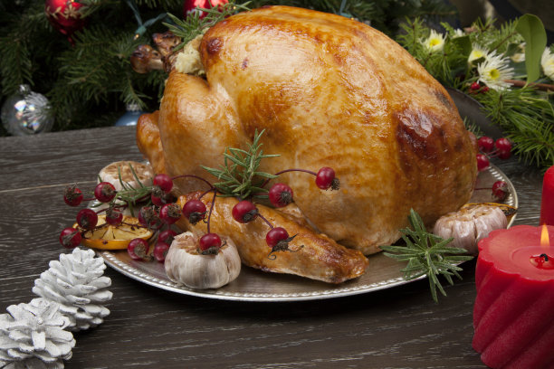 乡村风格圣诞火鸡图片下载