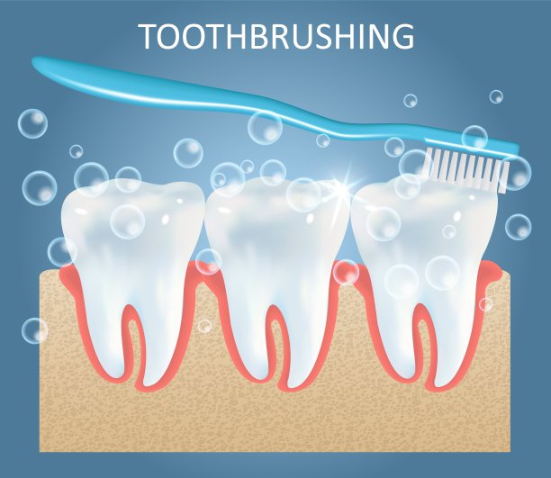 牙刷病媒医学解剖海报设计模板图片下载