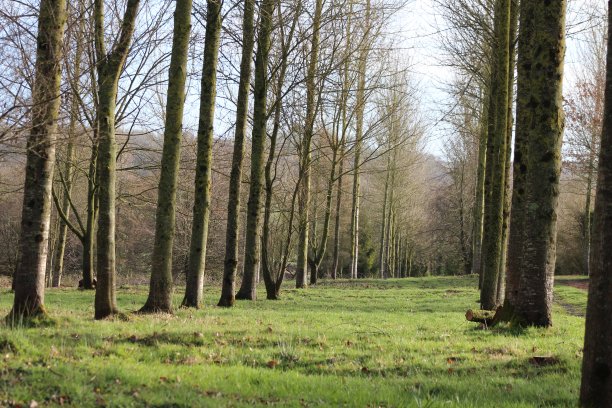 自然保护区图片下载