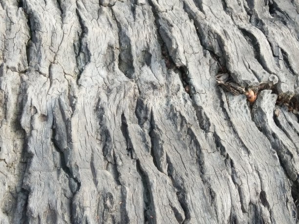 木头的背景图片下载