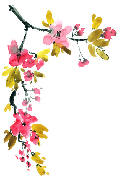 盛开的樱花树枝图片下载