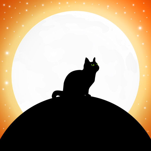 万圣节满月背景上的猫图片下载