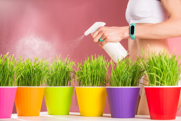 穿着内衣给植物浇水的女人图片下载