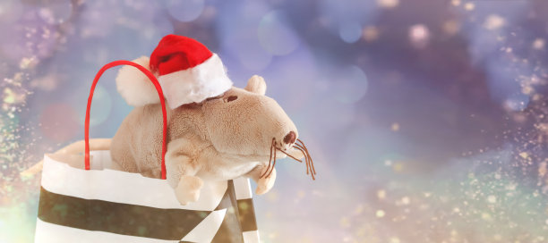 圣诞或派对背景的礼品盒，老鼠丝带，银色，红色和黑色的装饰。平躺，俯视图，圣诞蓝色背景长横幅图片下载