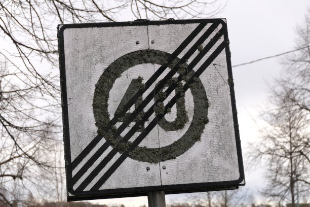 旧限速标志40图片下载