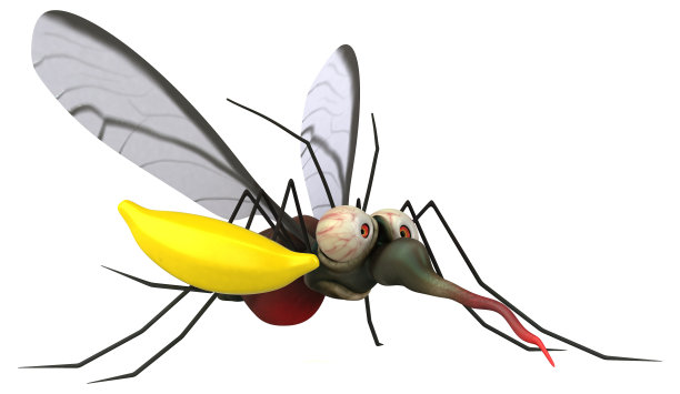 蚊子- 3D插图图片下载
