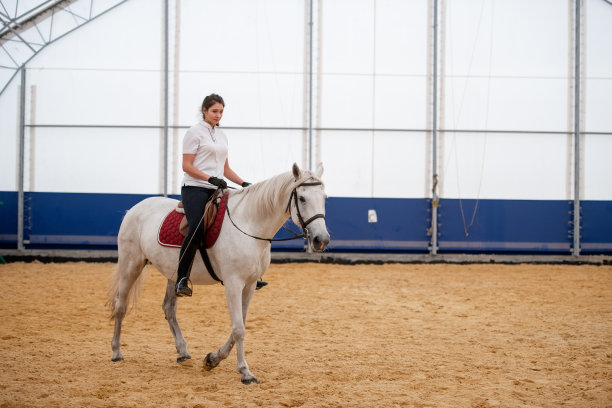 穿着紧身牛仔裤和白色马球衫的年轻女子坐在赛马的背上图片下载