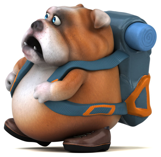 有趣的背包客斗牛犬卡通人物图片下载