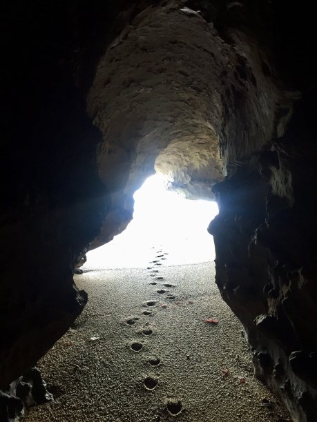 个人碳足迹图片下载