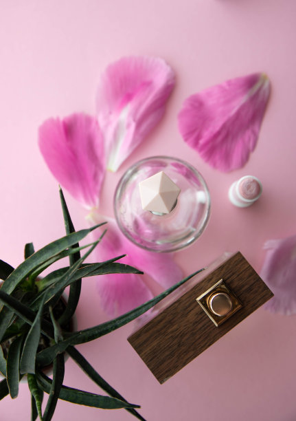 两瓶朱尼安烈酒，马桶水，俯视图，粉红色的帽子和一个带有粉红色花瓣的树瓶，自制的绿色迷你花和粉红色的口红在粉红色的背景上。剥。副本的空间。图片下载
