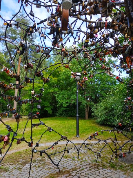 美丽的挂锁在绿色的树木，草地的背景图片下载