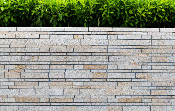 石头砖墙和绿色灌木背景图片下载