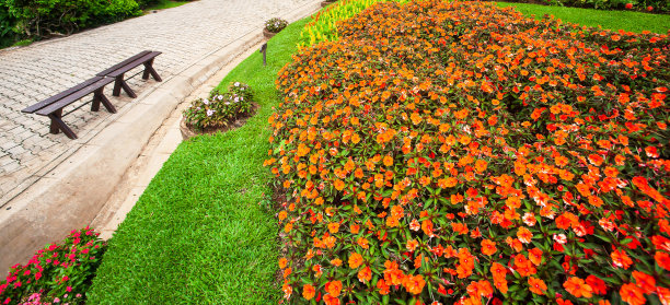 明亮的凤仙花花园里有石头小路和木椅。图片下载
