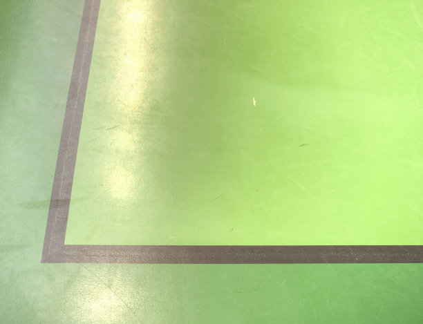 学校体育馆的绿色实心地板，黑色边框线条图片下载