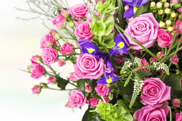 一群人。图片下载