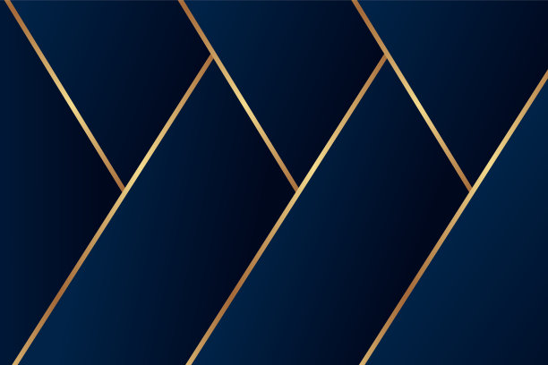 现代几何豪华名片模板的业务或展示。图片下载