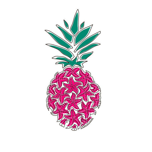 菠萝画线。海星菠萝。海洋食品。。图片下载