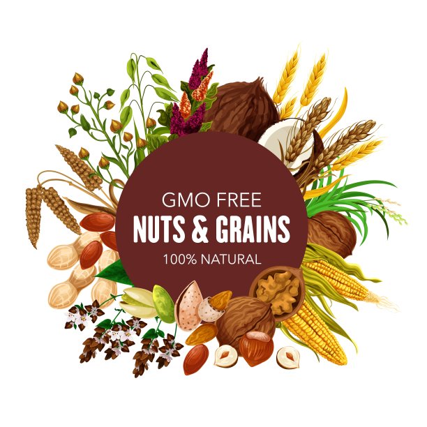 无转基因的超级食品坚果和谷物图片下载