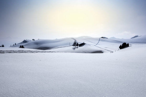 瑞士伯恩斯高地，新雪上的越野滑雪道图片下载