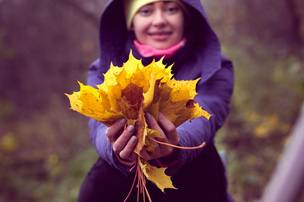 秋天的黄叶在一个女孩的手中图片下载