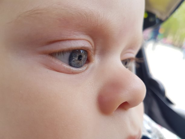 孩子的目光图片下载