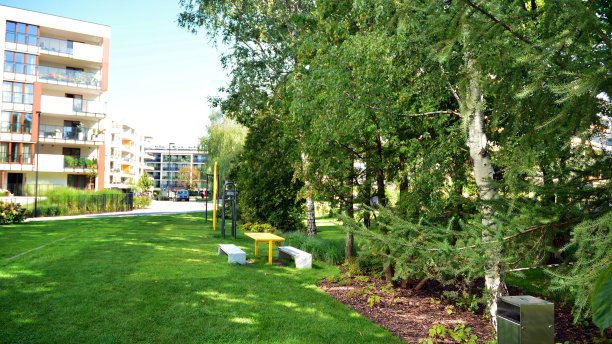 城市住宅附近的观赏灌木和植物图片下载