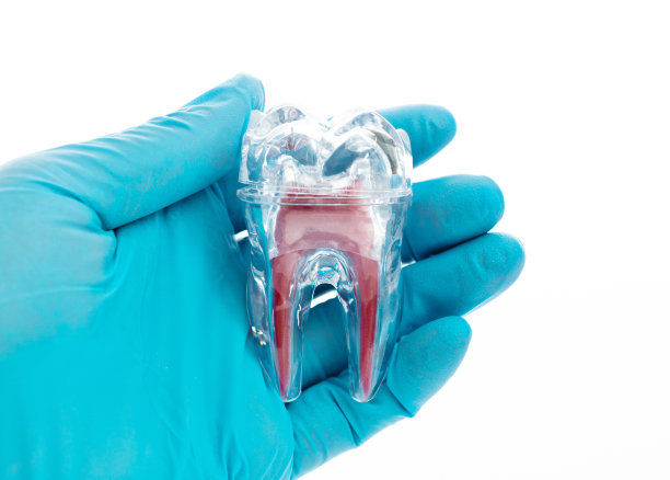 在白色背景上，一只手拿着一颗牙齿图片下载