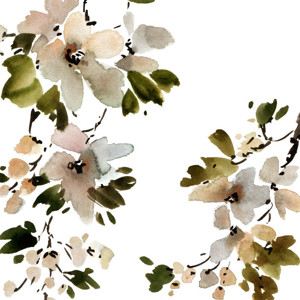 开花苹果树枝图片下载