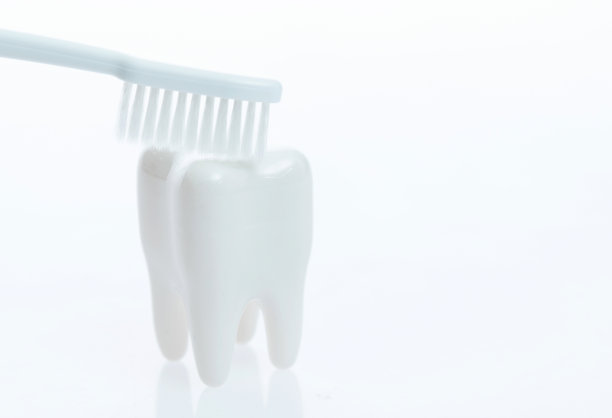 白色背景上的牙刷和牙齿模型图片下载