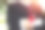 毕业典礼上，学生们手拿帽子图片下载
