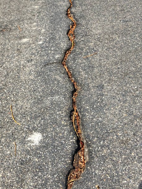 沥青路面有垂直裂缝图片下载