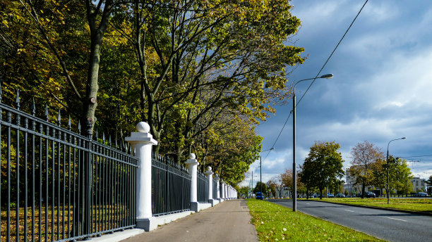 秋天阳光明媚的莫斯科大学校园，树巷和长街在莫斯科戏剧性的天空下图片下载