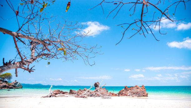 缅甸萨里岛的海滩，有一棵树和岩石图片下载