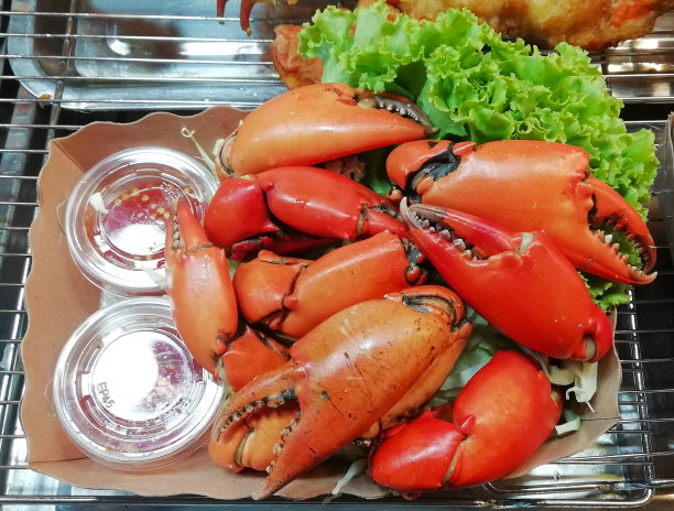 蒸钳子在一个盒子里图片下载