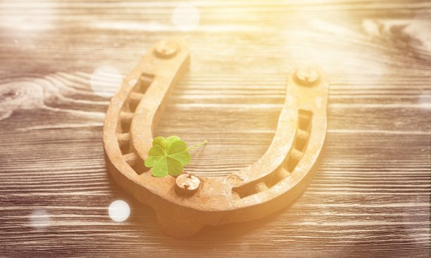 三叶草。图片下载