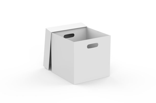 空棕色纸盒包装容器运输，储存和保管，硬纸盒模拟模板上孤立的白色背景，3d插图图片下载