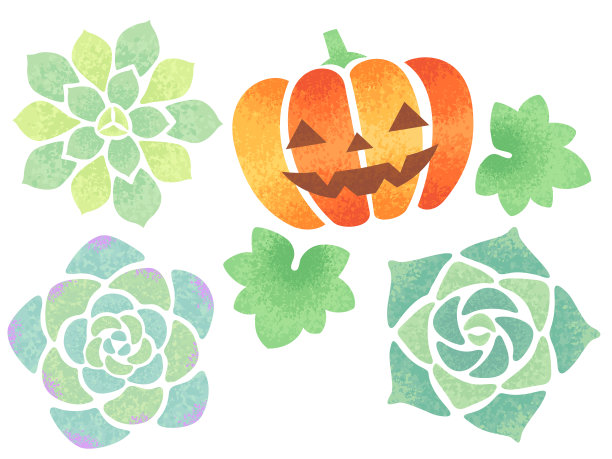 多肉植物和南瓜灯图片下载