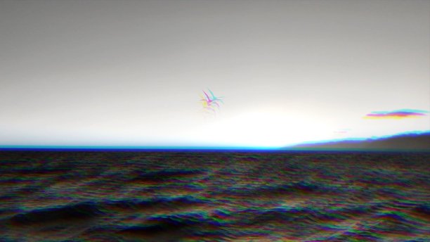 低保真故障海滩鸟图片下载