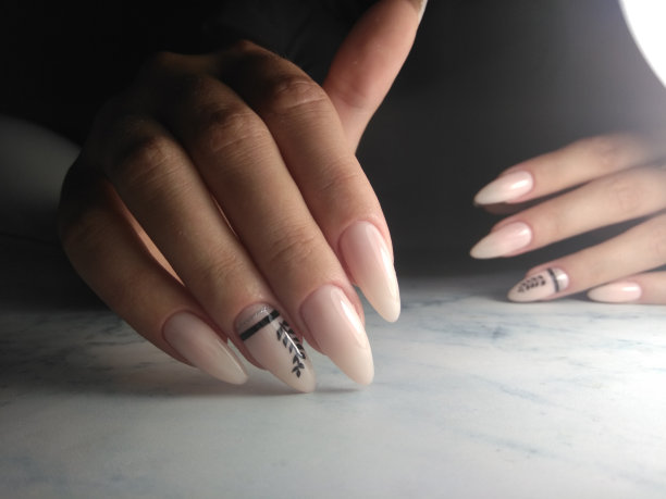 长指甲与美甲和伪装完成与黑色小枝设计。图片下载
