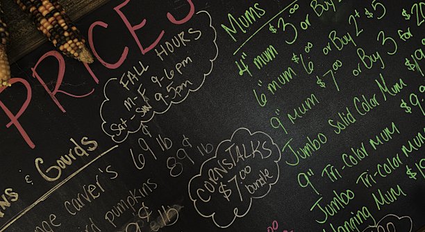 秋天的新英格兰农贸市场图片下载