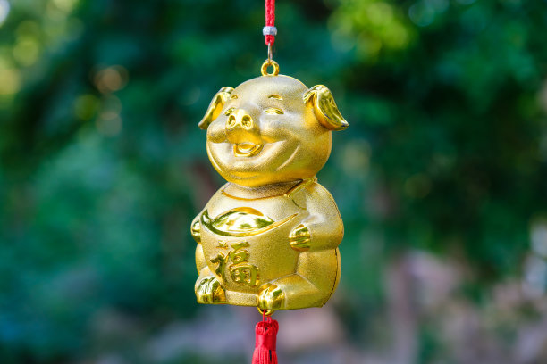 金猪娃娃风水图片下载